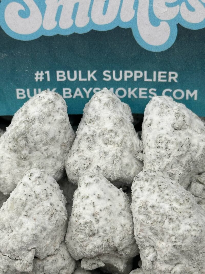 Gelato 45 Snowballs (Hybrid)