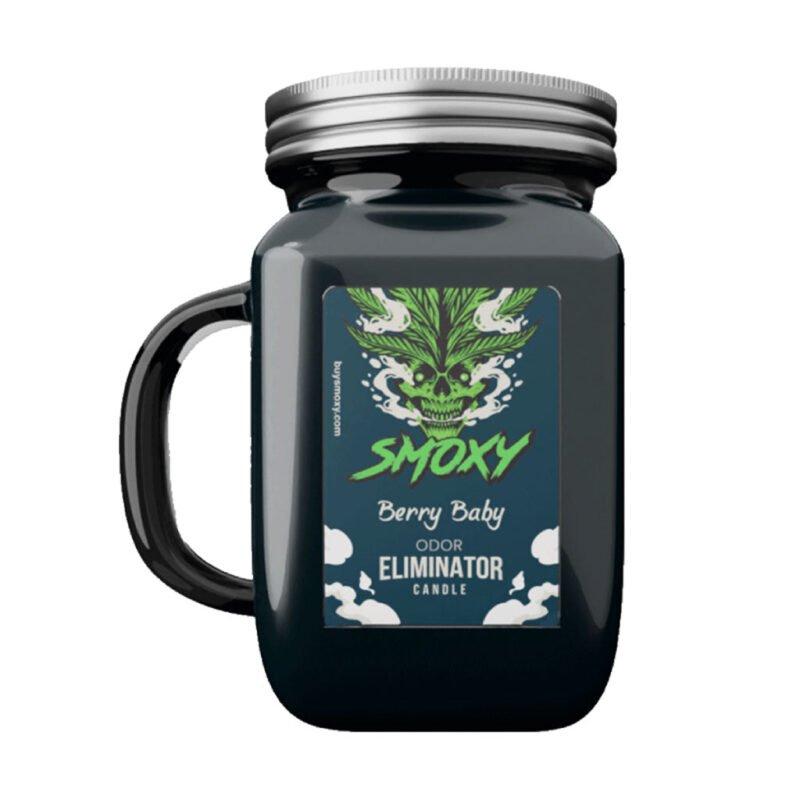 Berry Baby Odor-Eliminating Candle
